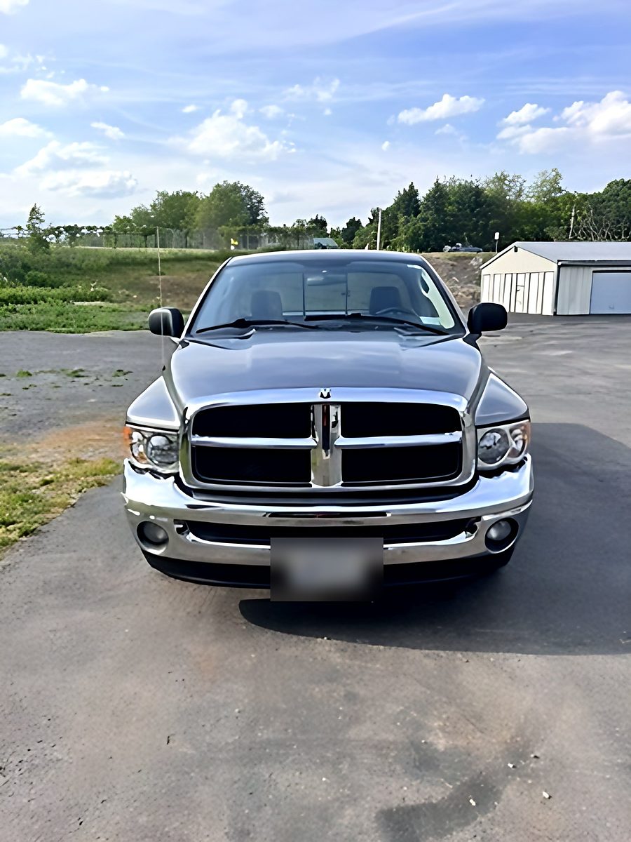 Grey Ram after a detail